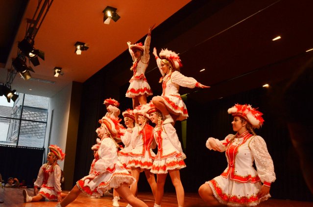 umzug simmern_140301_vb_325